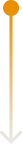 Line Image